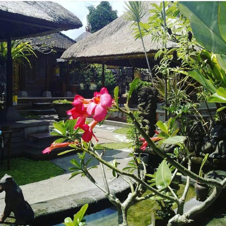 Family Guest House Ubud Extérieur photo